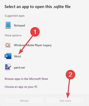 Выбор Word для открытия файла .sqlite