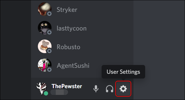 User Settings in Discord