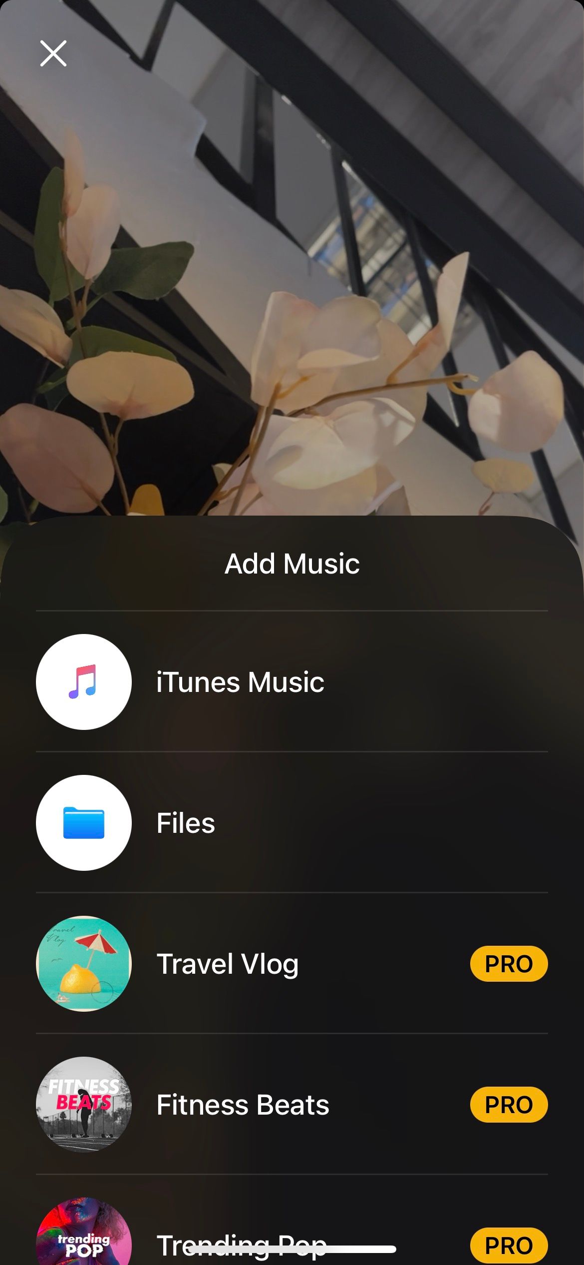 добавление музыки в Spark Camera