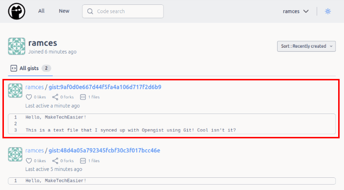 Скриншот новой страницы gist в интерфейсе Opengist.
