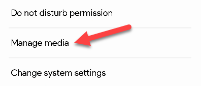 Выберите Управлять мультимедиа в списке специальных доступов