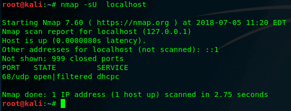 Nmap: сканирование UDP-портов localhost