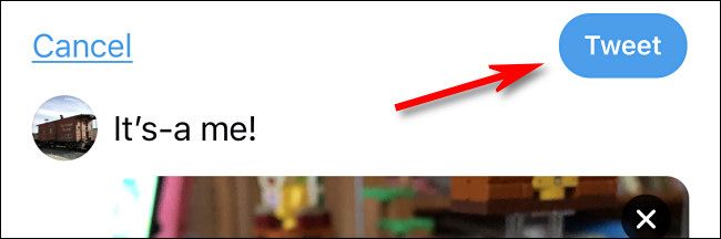 Кнопка «Твитнуть»: нажмите, чтобы опубликовать изображение с описанием.