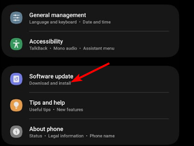 Пункт Software update в настройках Samsung