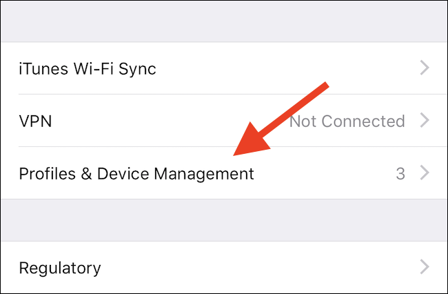 Список профилей и информация о них на iPhone