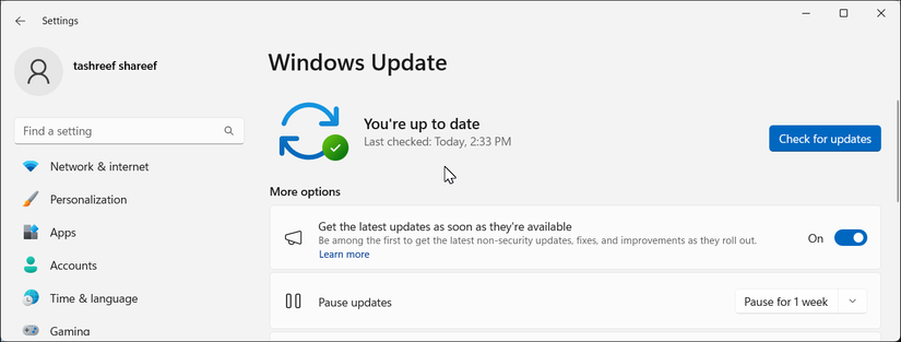 Окно Параметров Windows 11 с открытым разделом Windows Update