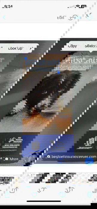 Действия с текстом на фото на iPhone