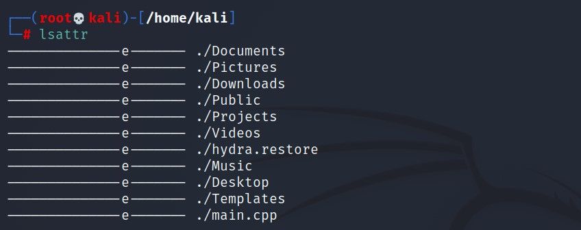 пример вывода lsattr