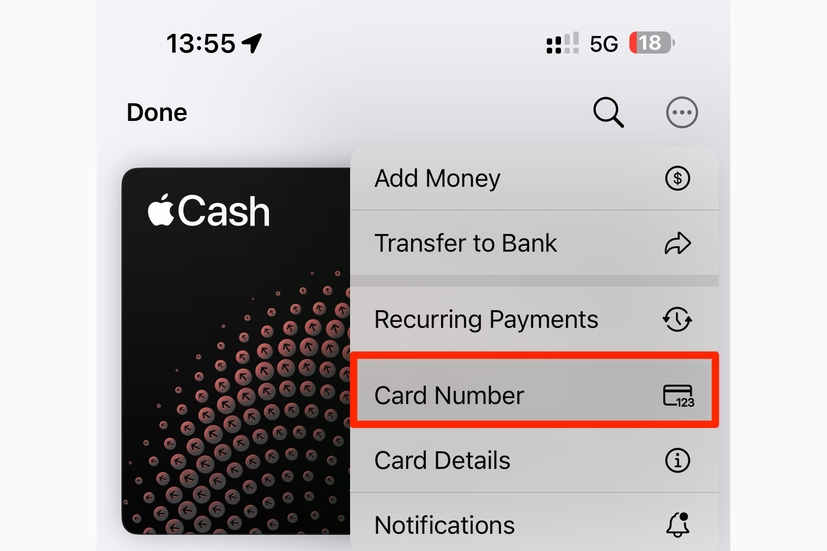 Приложение Wallet на iPhone с выделенной опцией Номер карты для Apple Cash.