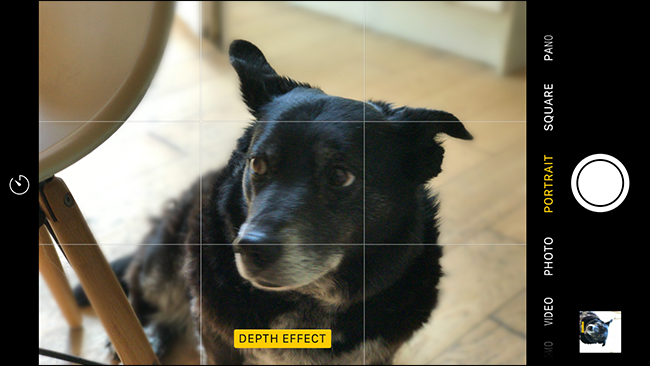 Превью эффекта глубины в приложении Камера