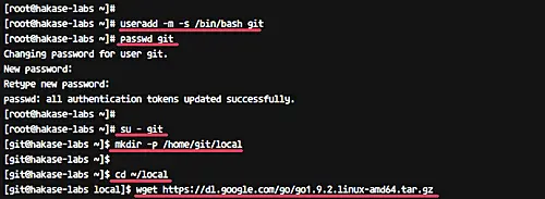 Archive Go téléchargée dans /home/git/local