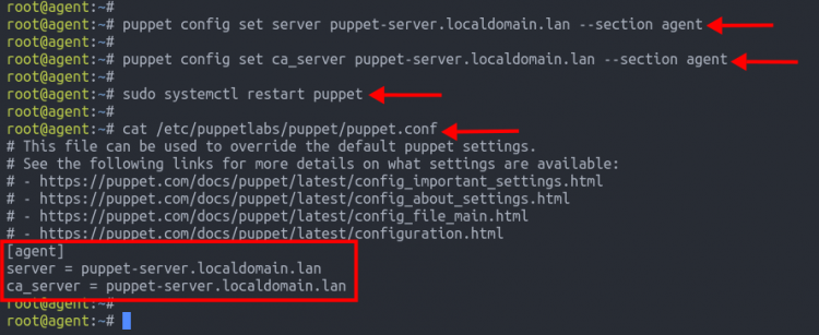 Содержимое /etc/puppetlabs/puppet/puppet.conf после установки server и ca_server