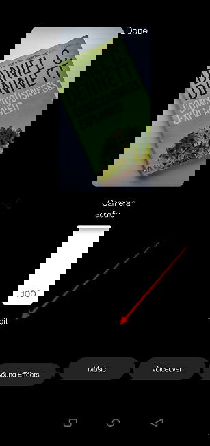 Instagram Reels Voice Edit