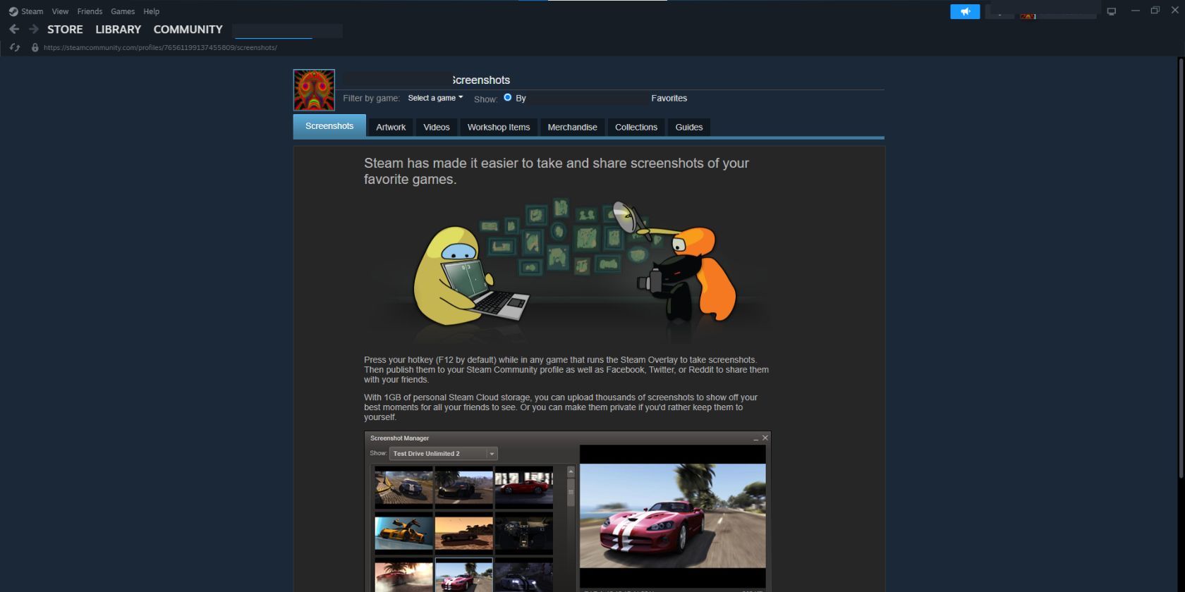 Раздел скриншотов в профиле Steam