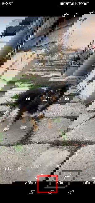 Кнопка редактирования в Google Photos