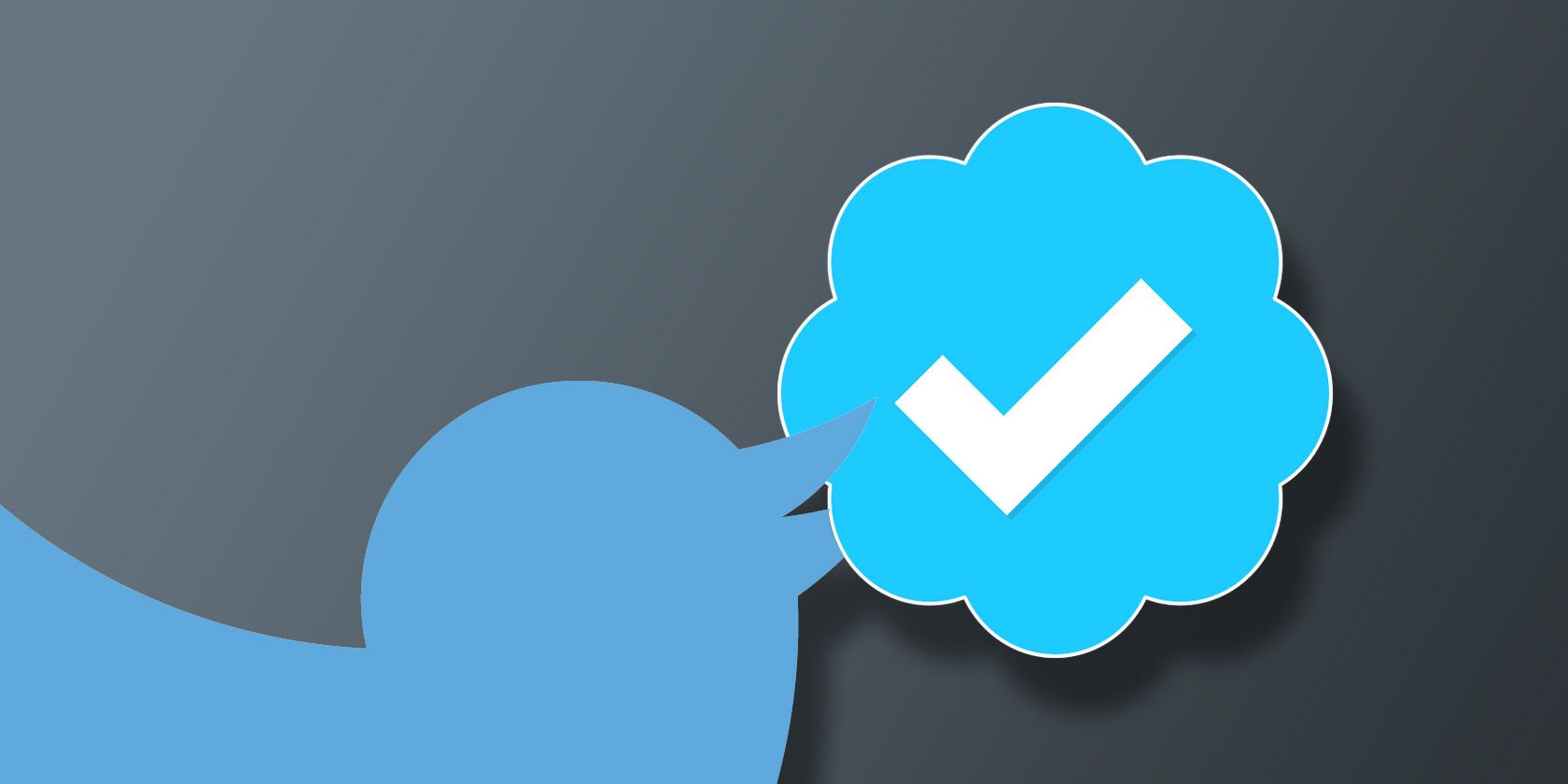 Как получить верификацию в Twitter