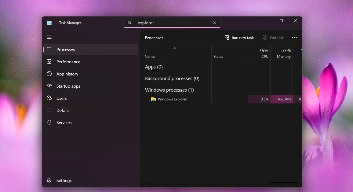 Search Result of a Specific Process in Task Manager