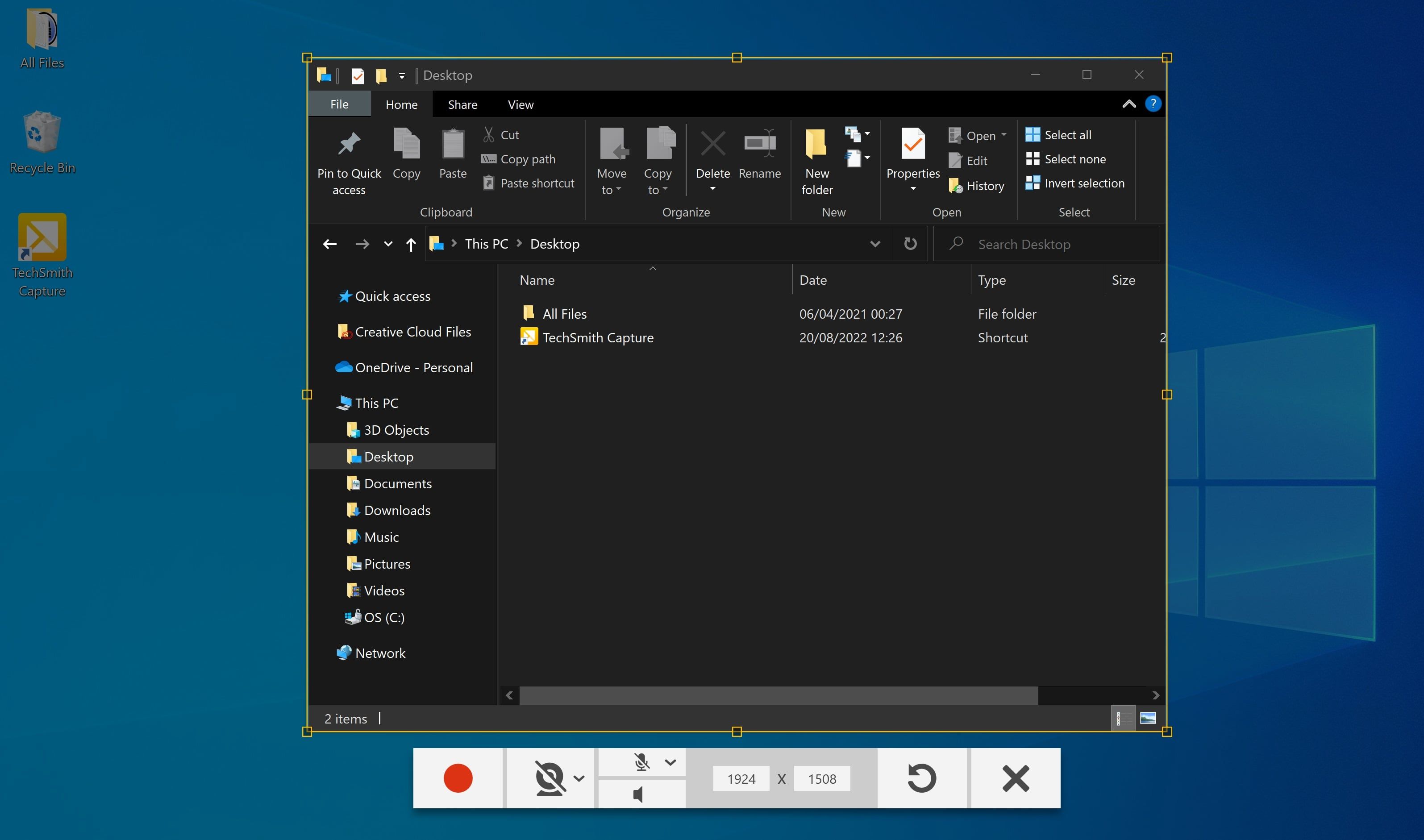 Настройки панели записи TechSmith