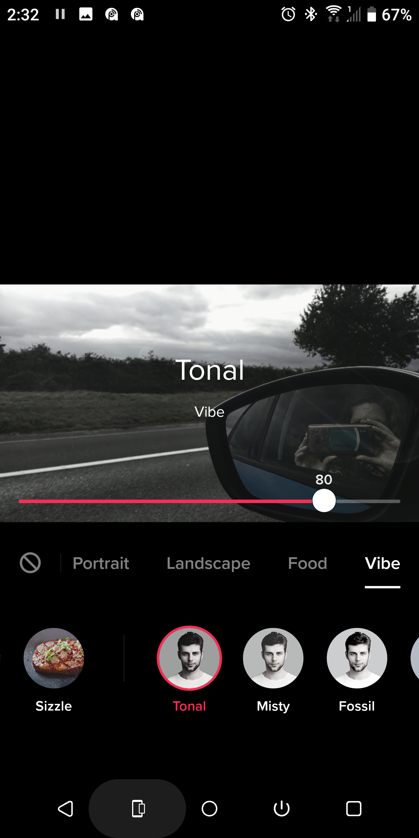 пейзаж с фильтром Tonal