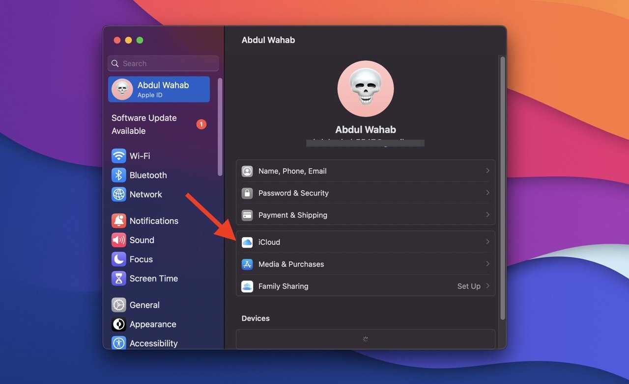 iCloud settings