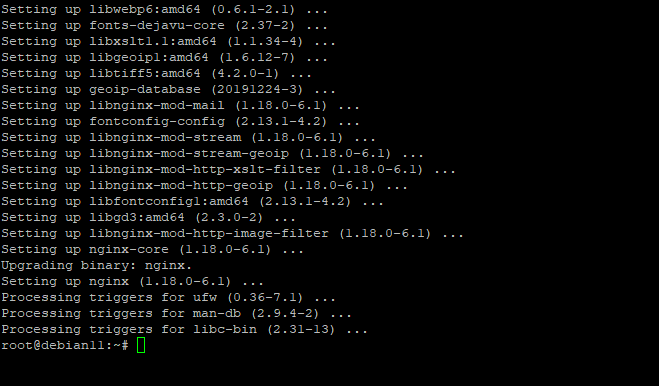 Подтверждение установки nginx в терминале