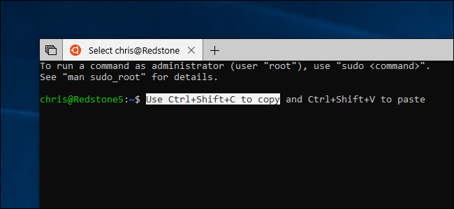 Включение Ctrl+Shift+C/V в Bash Windows 10