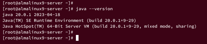 Проверка Oracle JDK 20 — java --version