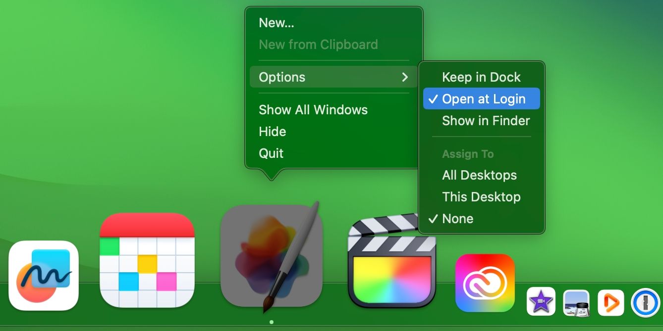 Опция Открывать при входе отключена в Dock macOS Sonoma для Pixelmator Pro