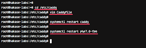 Caddy с поддержкой PHP-FPM
