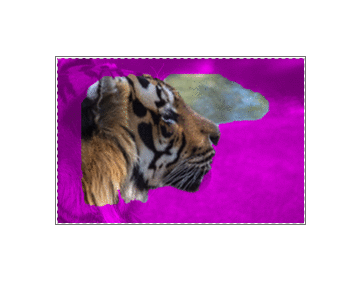 Демонстрация выделения области для сохранения