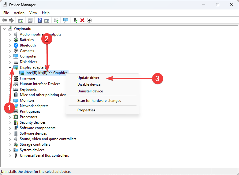Выбор графического адаптера в диспетчере устройств