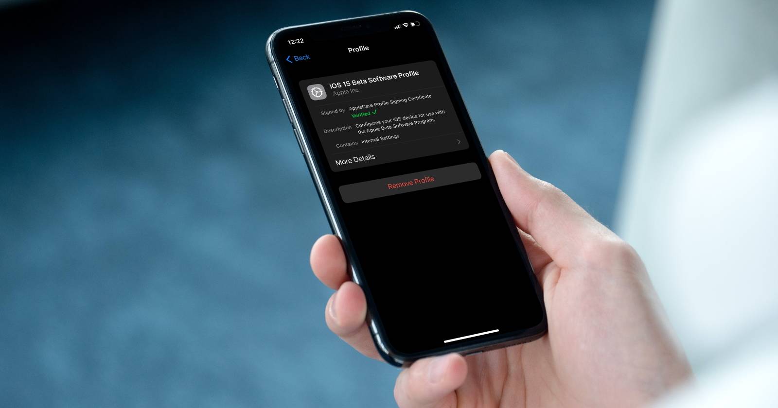 Изображение iPhone с установленным бета‑профилем iOS
