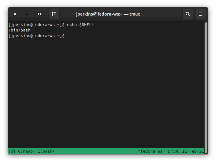 Скриншот терминала с выводом информации об оболочке Bash