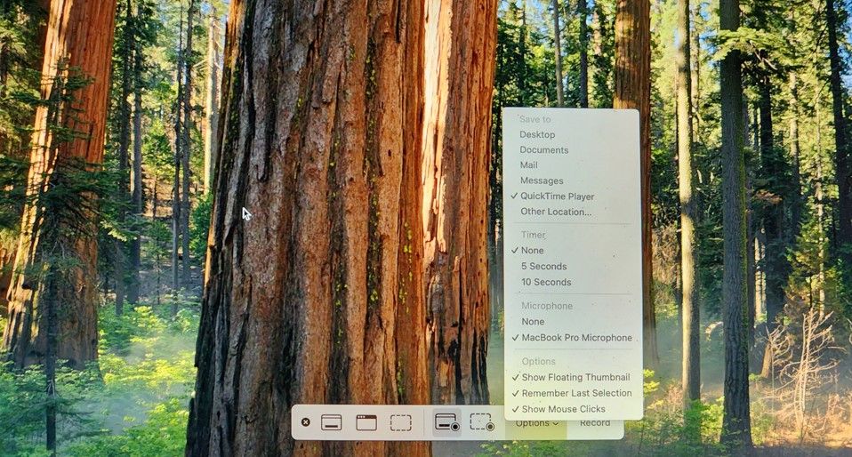 Меню параметров записи в QuickTime Player.