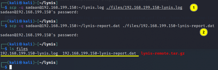 Скачивание логов и отчётов Lynis на локальную машину
