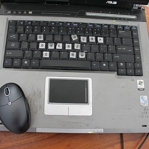 Лучшие бесплатные расширения для слепой печати