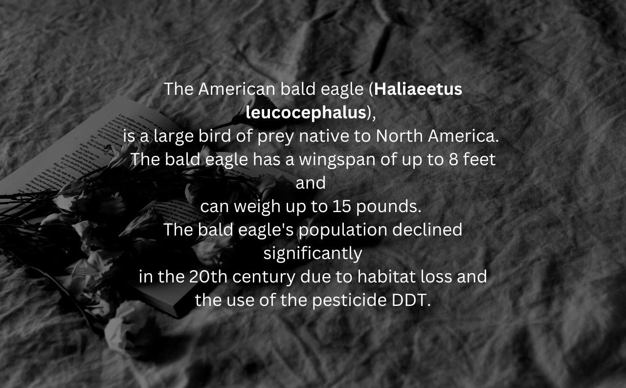 Сухой фактический текст с перечислениями