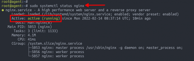 systemctl status nginx — nginx активен