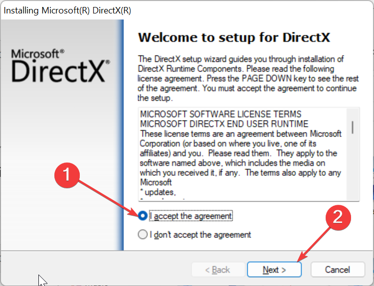 Окно установки DirectX с подтверждением лицензии