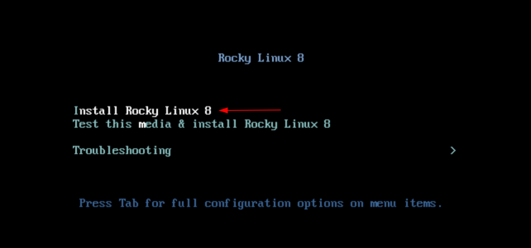 Меню Install Rocky Linux 8