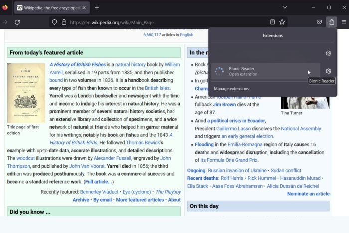 Bionic Reading в Firefox: установка и использование