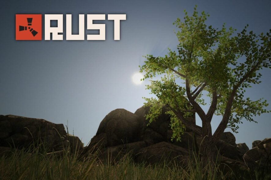 Rust вылетает — причины и решения