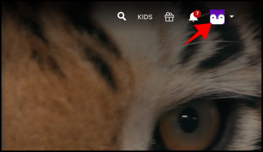 Иконка профиля Netflix в правом верхнем углу