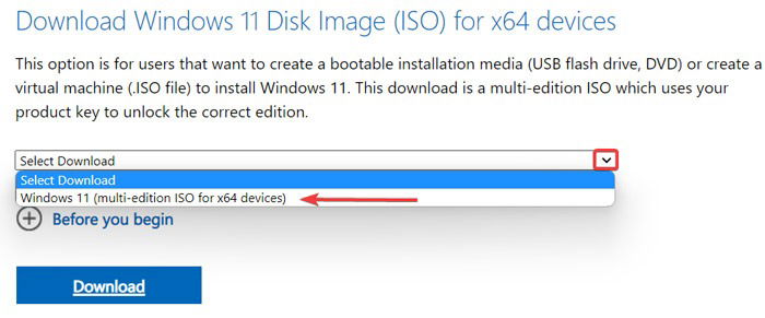 Windows 11 ISO 옵션 선택 화면 스크린샷