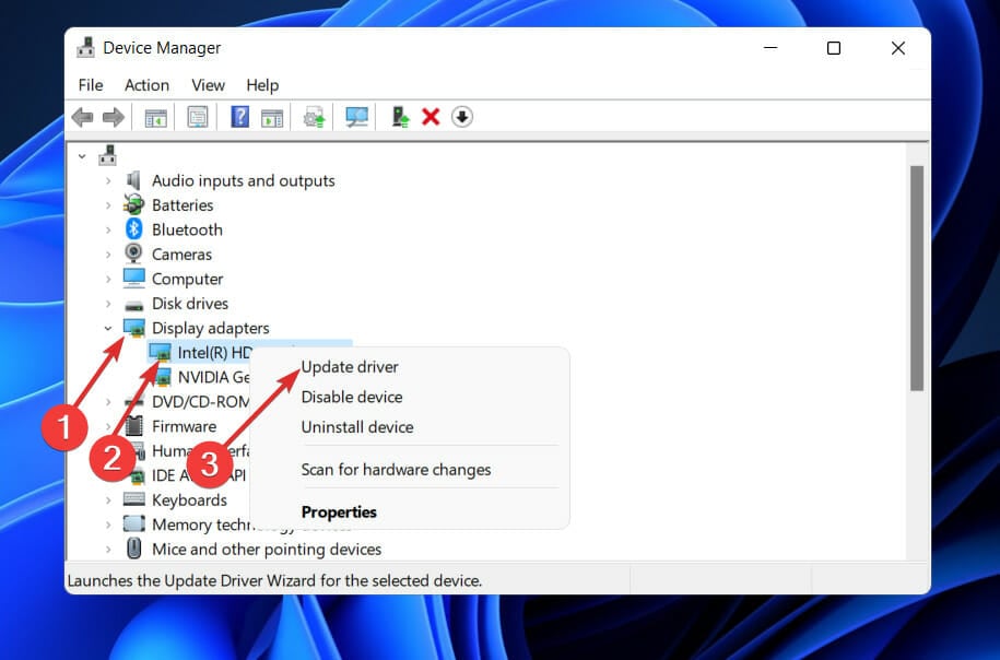 Раздел видеоадаптеры в Диспетчере устройств