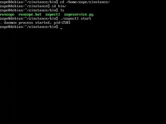 Запуск zinstance через zopectl start