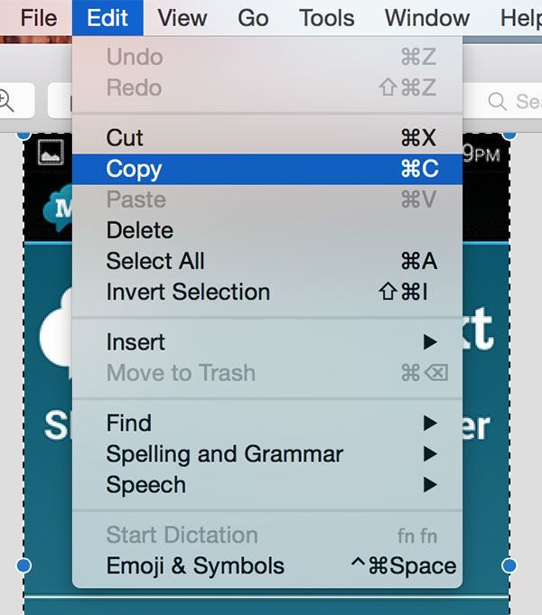 Копирование изображения в буфер обмена