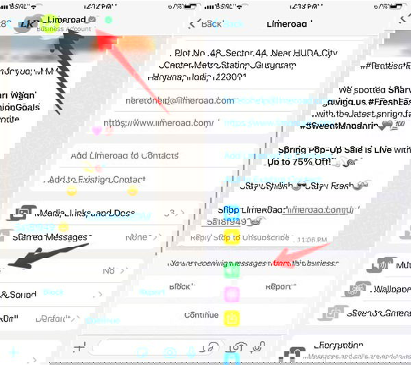 Экран чата WhatsApp с опцией 'Отключить уведомления'