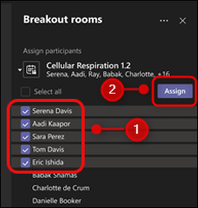 Список участников и кнопка 