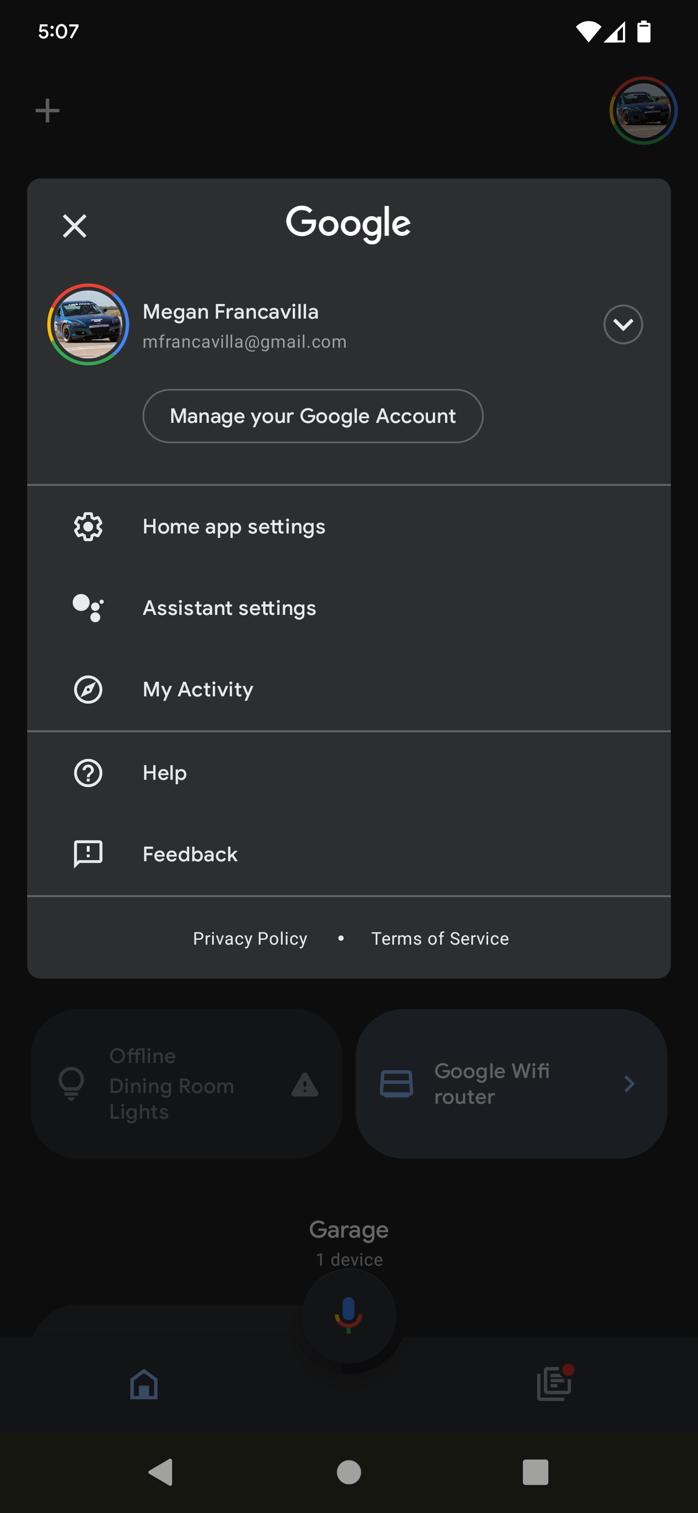 Enable Nest Skill Screenshot 1